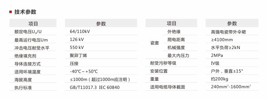 瓷套式户外终端2.jpg
